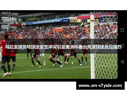 乌拉圭球员与球迷发生冲突引发美洲杯看台风波球迷反应强烈