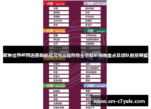 聚焦世界杯预选赛最新战况与出线形势全景解析指南盘点及球队前景展望