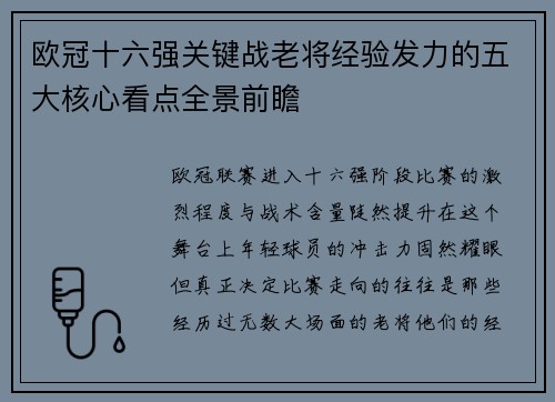 欧冠十六强关键战老将经验发力的五大核心看点全景前瞻